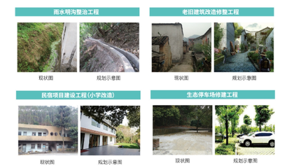 森林養生、戶外探險…高明兩條美麗鄉村啟動建設_南方plus_南方+