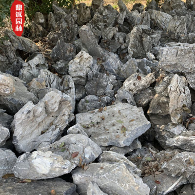 青龍石一般什么地方有青龍石在廣東英德的英山上