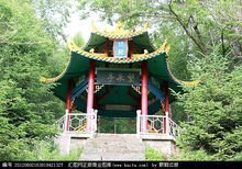 王樹清