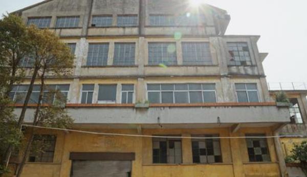 廣州荒廢20多年的一景區(qū),景象荒涼卻“意外走紅”,游客源源不斷