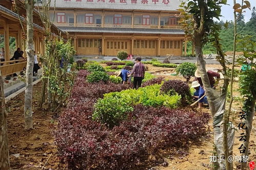 云臺(tái)山的游客服務(wù)中心即將竣工 敬請(qǐng)期待云臺(tái)山風(fēng)景區(qū)的服務(wù)中心